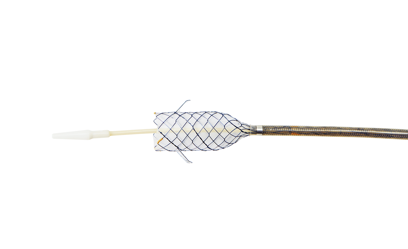 BCG HANAROSTENT® FAST™ Biliary Flap (CCC)
